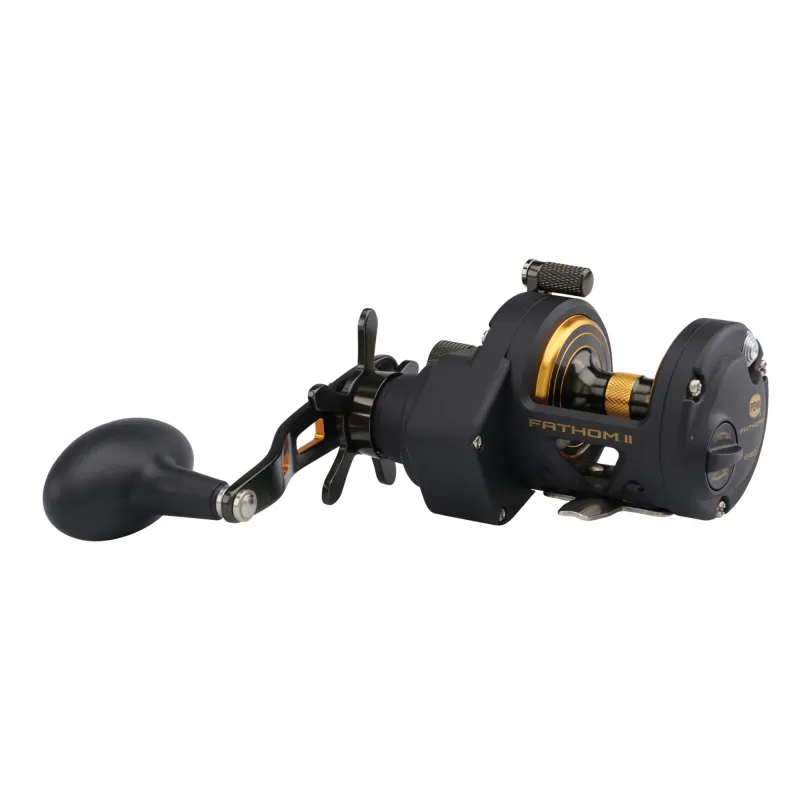 Penn Fathom II 12 SD 395m/ 0,29mm - 6,1:1