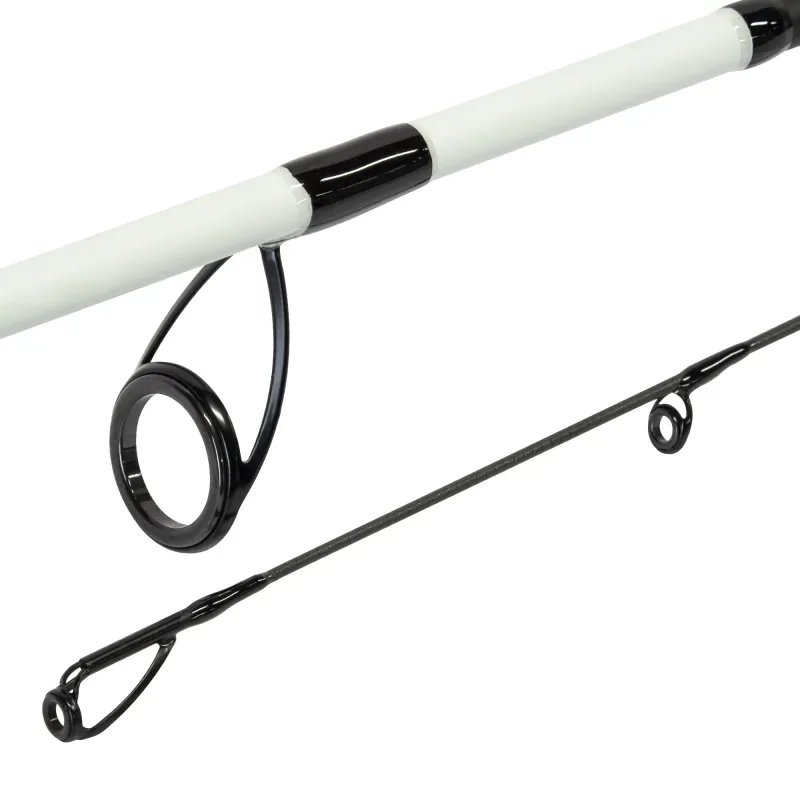 Pro Tackle PTG Spin Zander & Hecht 2.70m - 30-70g - H
