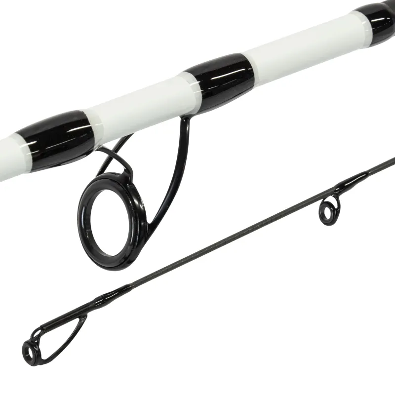 Pro Tackle PTG Spin Hecht 2.70m - 40-90g - XH