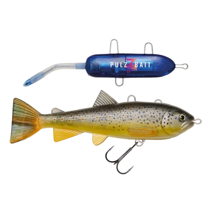 Brown Trout