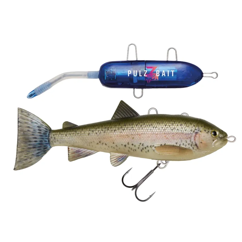 Rainbow Trout