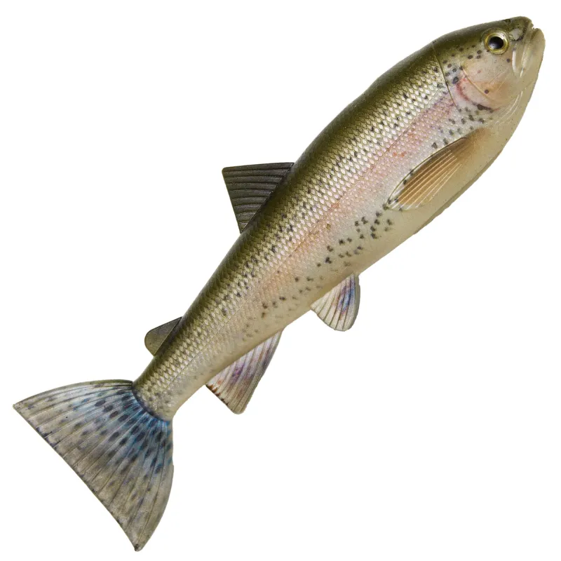 Rainbow Trout