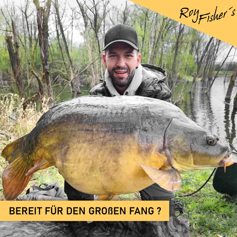 Roy Fishers Camou 3-fach Futteral 125cm