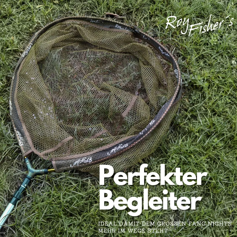 Roy Fishers Gummierter Kescherkopf 65x55x42cm