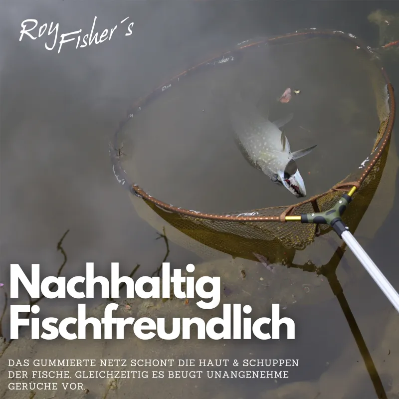 Roy Fishers Gummierter Kescherkopf 65x55x42cm