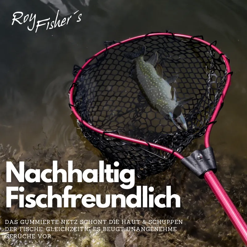Roy Fishers Professional Allround Kescher mit gummierten Netz
