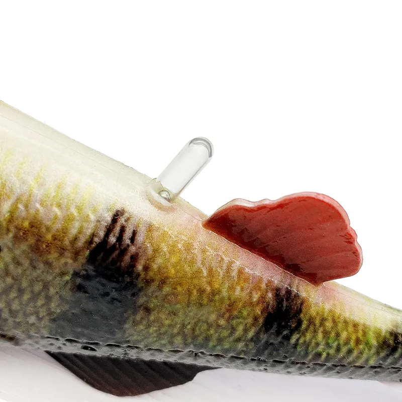 Savage Gear 4D Perch Shad 1Stück - 20cm - Blue Silver