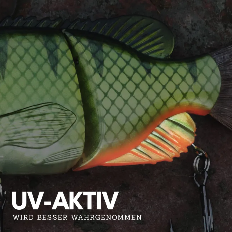 Senshu Bantarel 15cm - Ghost Ayu Perch OB UV