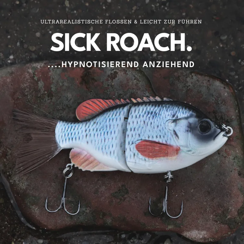 Senshu Bantarel 15cm - Sick Roach