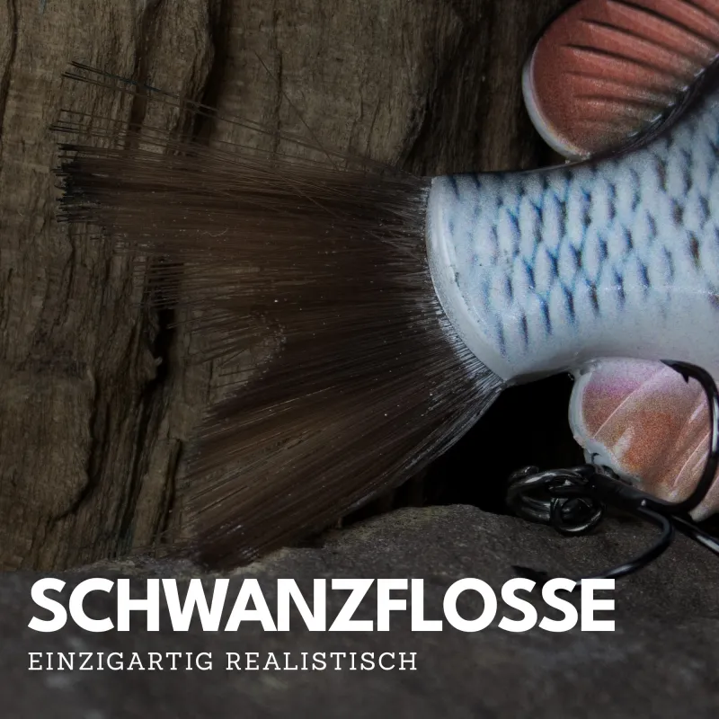 Senshu Bantarel 15cm - Sick Roach