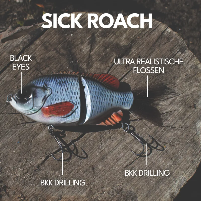 Senshu Bantarel 15cm - Sick Roach