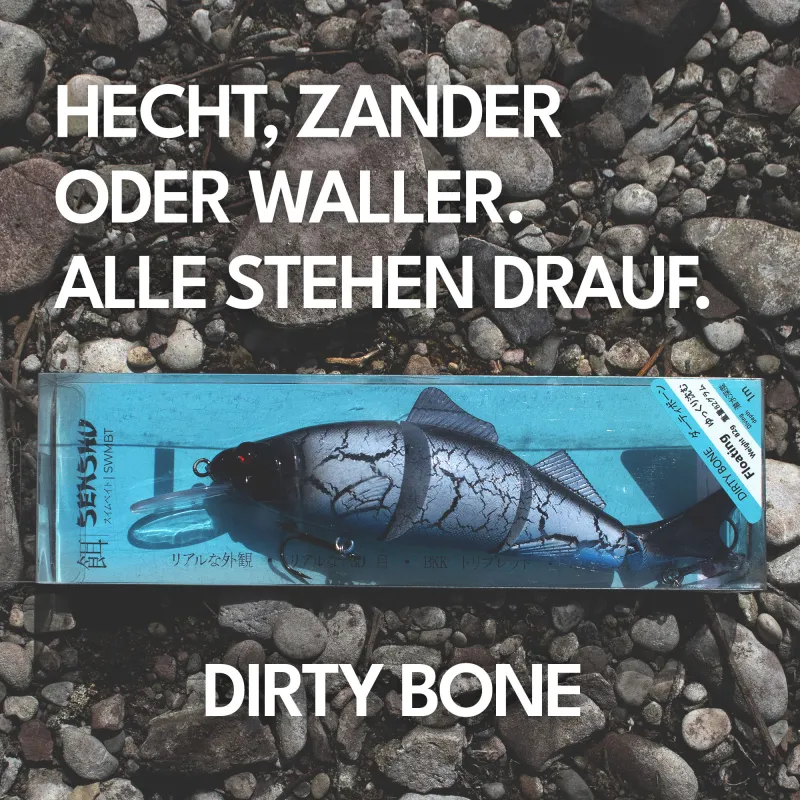 Senshu SWMBT 23cm - Dirty Bone