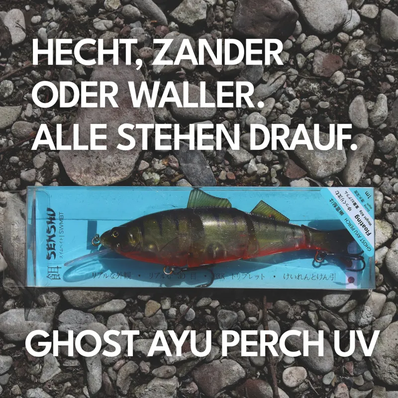 Senshu SWMBT 23cm - Ghost Ayu Perch UV