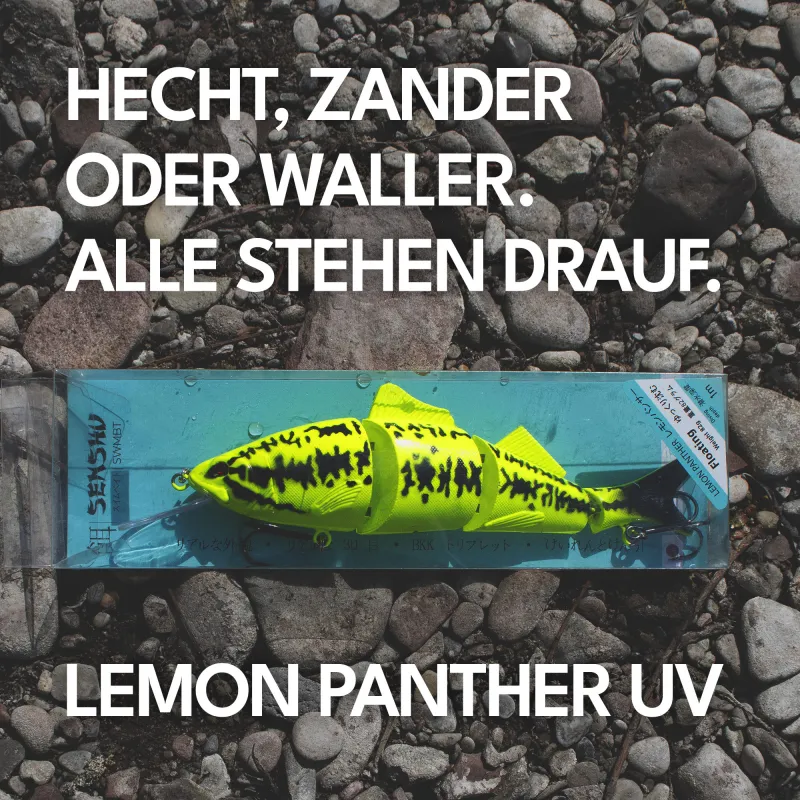 Senshu SWMBT 23cm - Lemon Panther UV