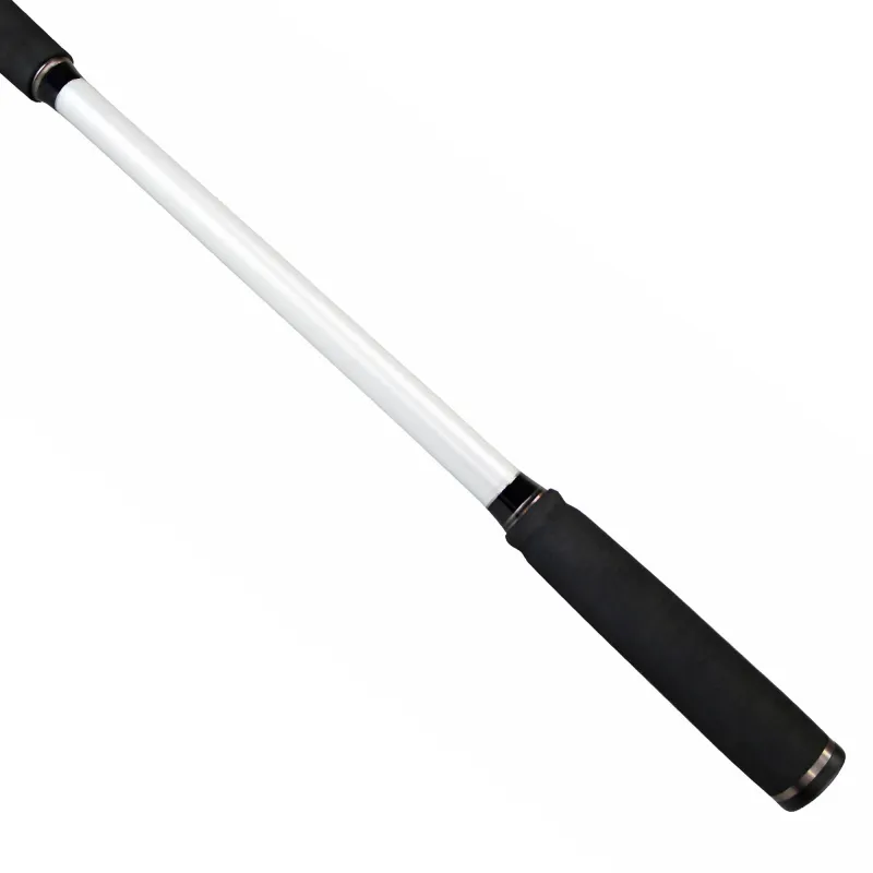 Senshu Titan SeaBass Spinning 300cm 2-tlg 30-100g
