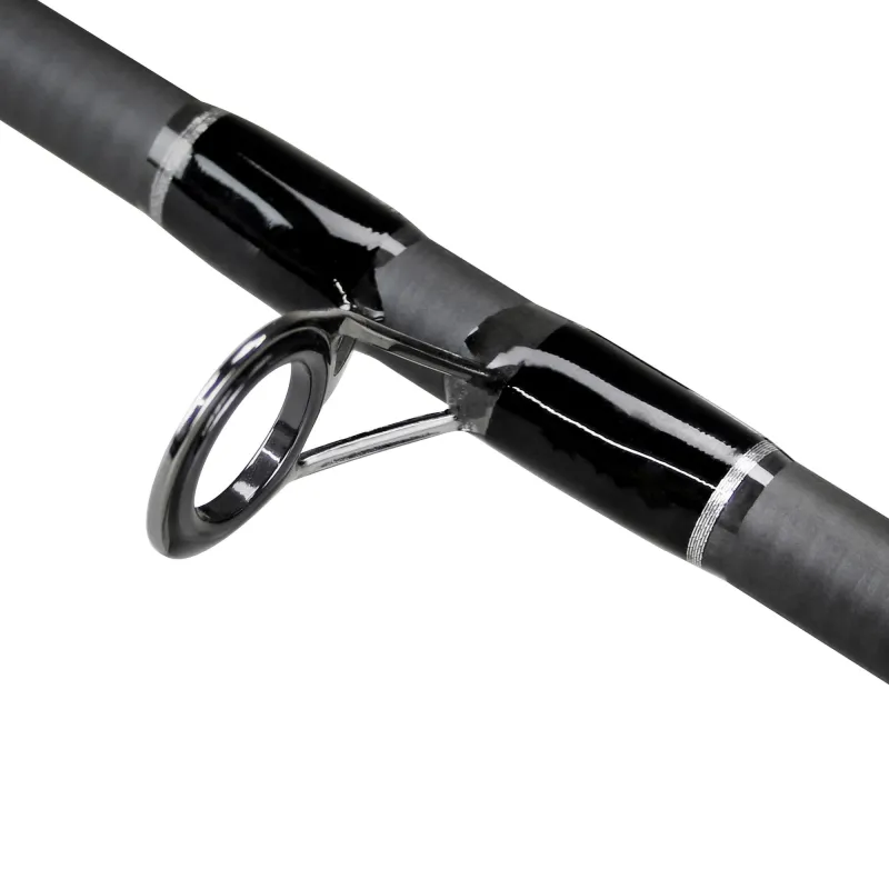 Senshu Titan SeaBass Spinning 300cm 2-tlg 30-100g