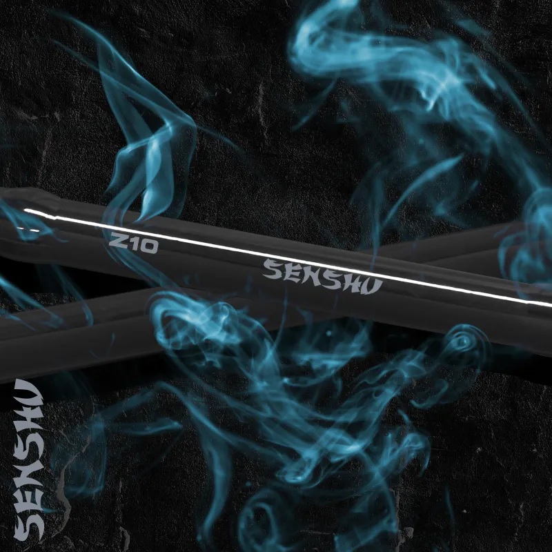 Senshu Z10 Spin + Sokomo C4000 2,70m - 25-70g - MH
