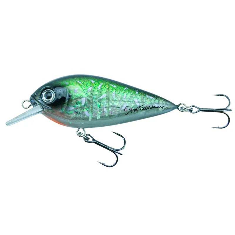 Baby Pike