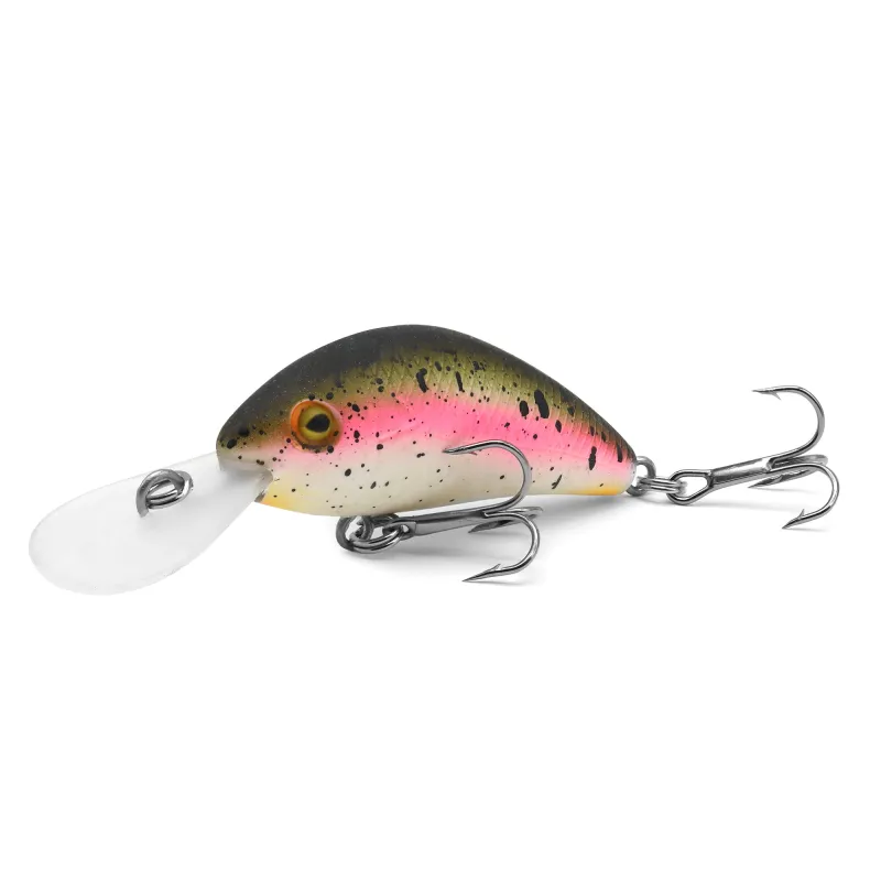 rainbow trout
