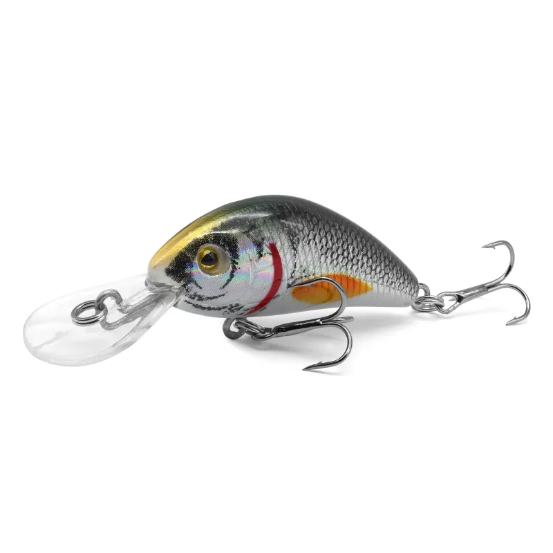 silver roach