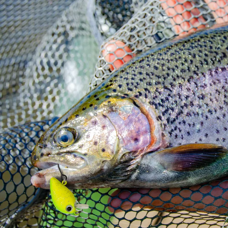 Troutlook Trout Crank 2,5cm - 1,6g - Chartreuse