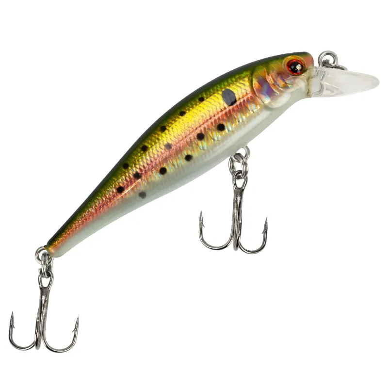 Rainbow Trout