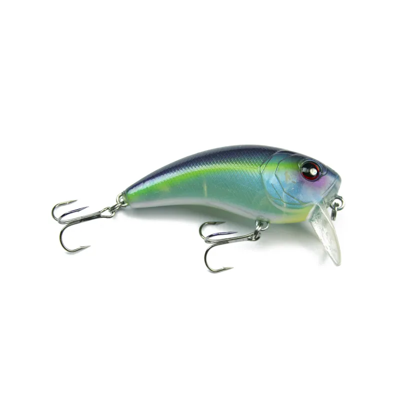 Blue Violett Shiner