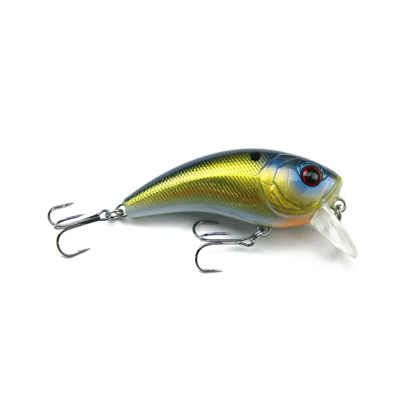 Gold Carp