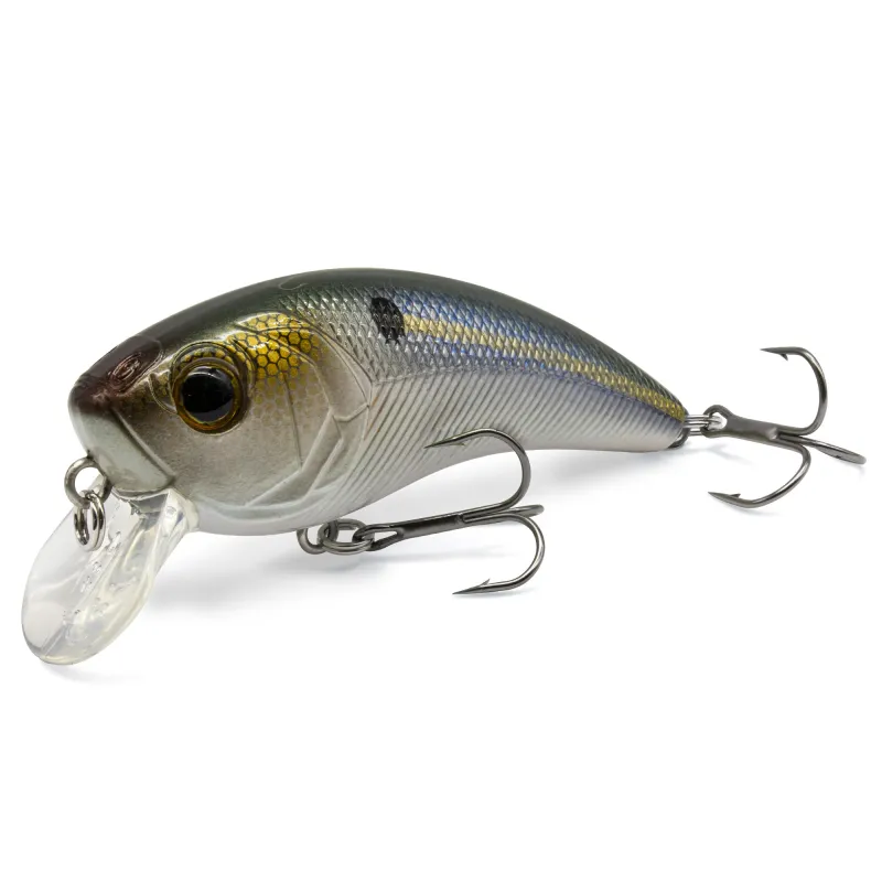 Golden Shad