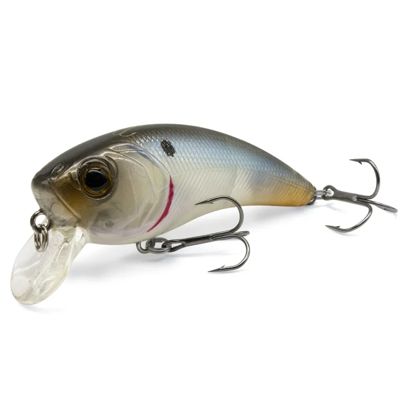 Natural Shad