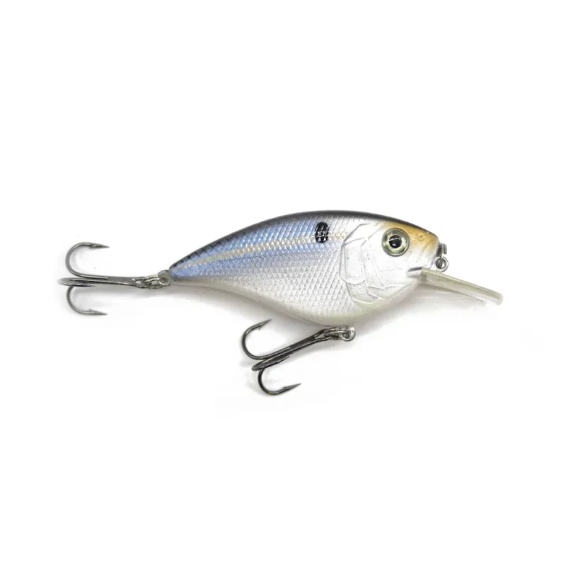 Minnow