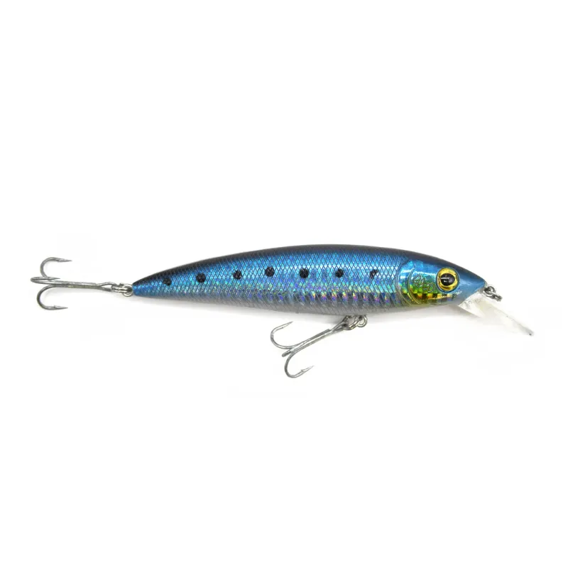 Sardine