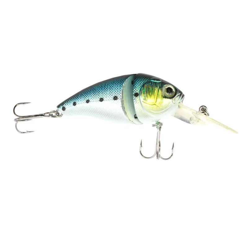 Blue Sardine
