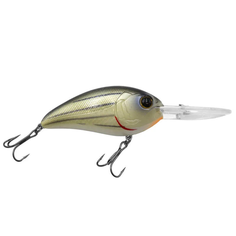 Stripped Bass