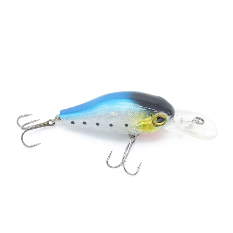 Sardine