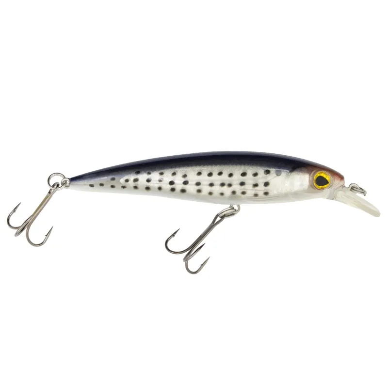 Silver Sardine