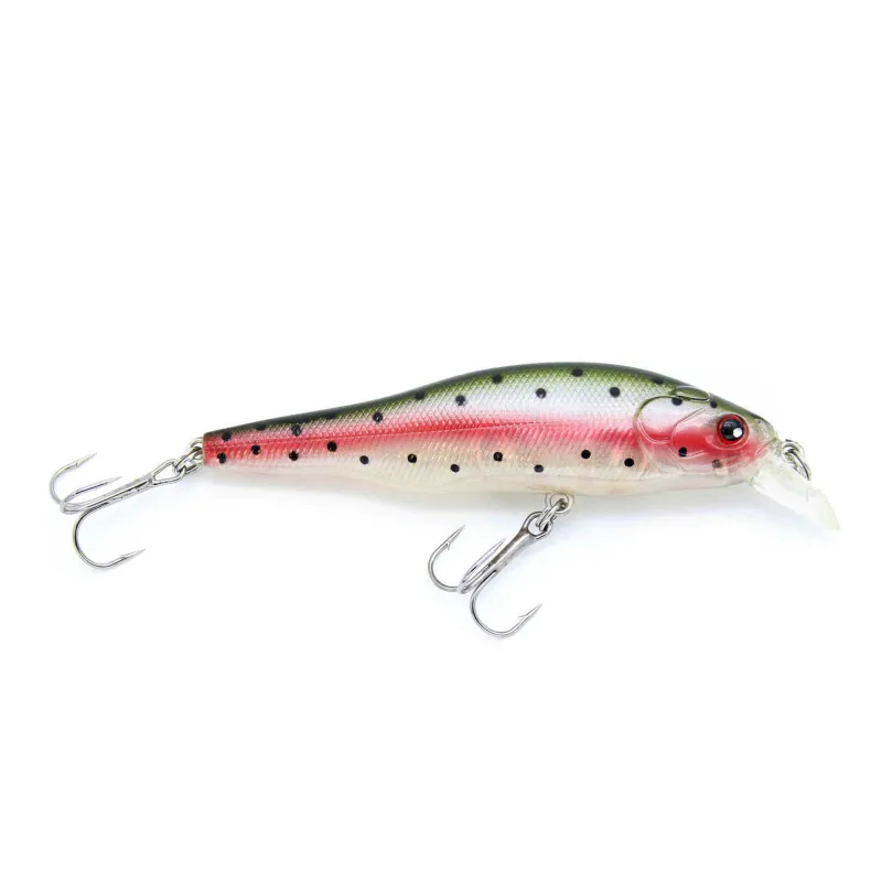 Rainbow Trout