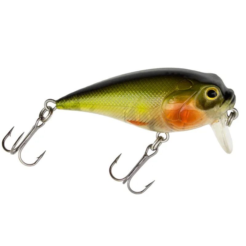 Stripeless Perch