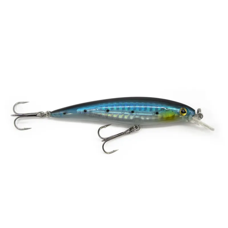 Sardine