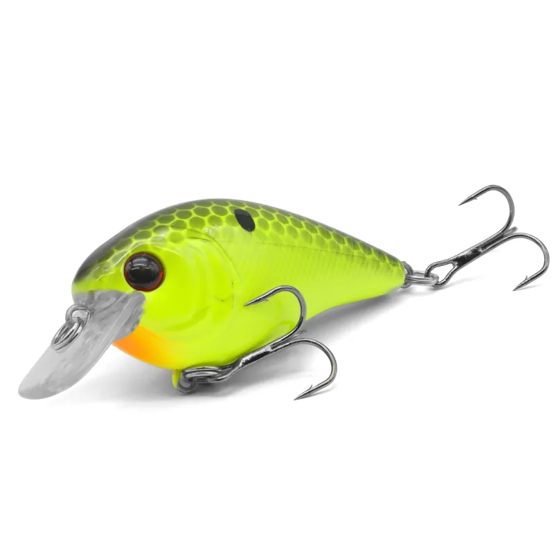 Citrus Shiner