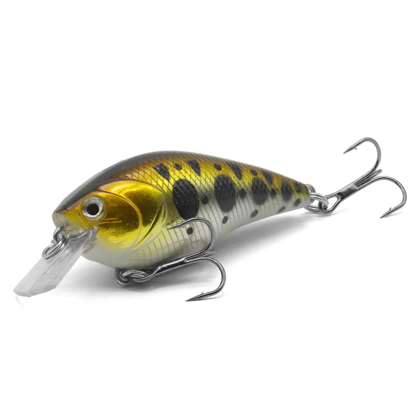 Gold Tiger