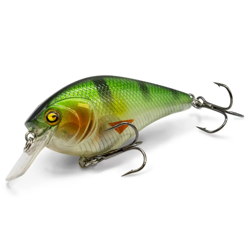 Lime Perch