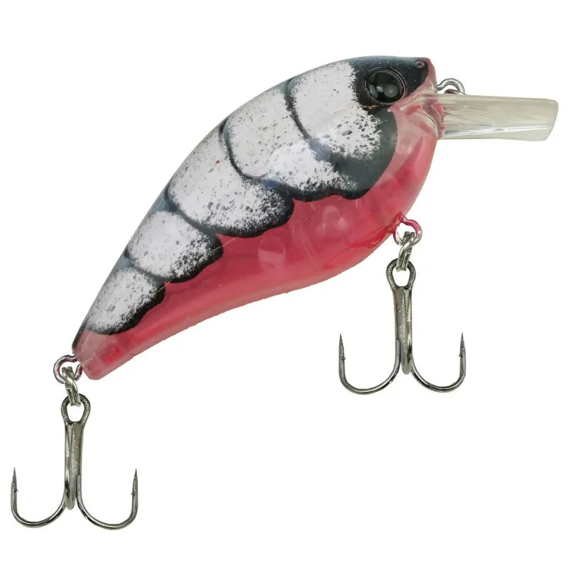 Pink Shrimp