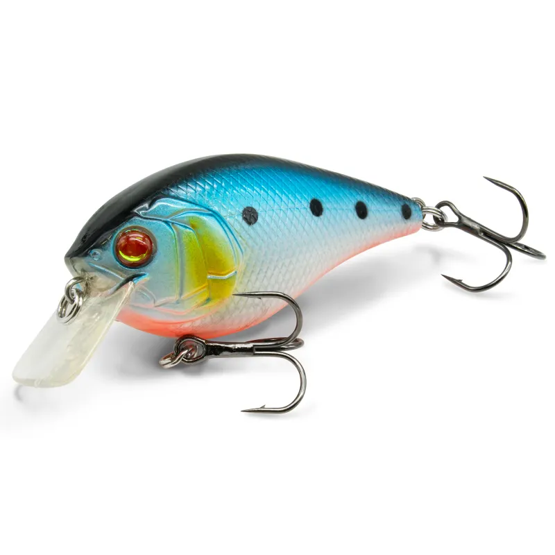 Sardine