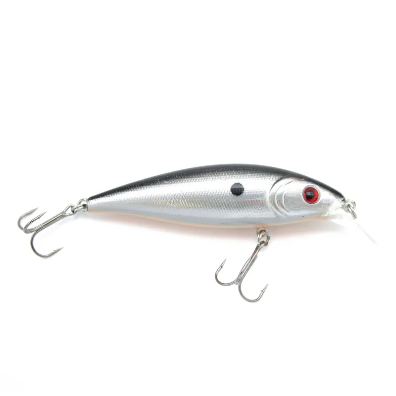 Silver Flash Minnow