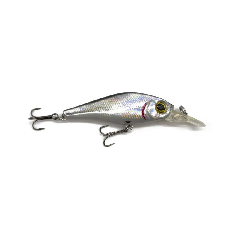 Silver Flash Minnow