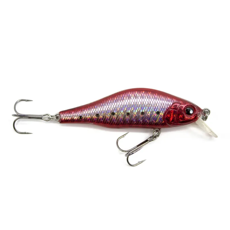 Red Sardine