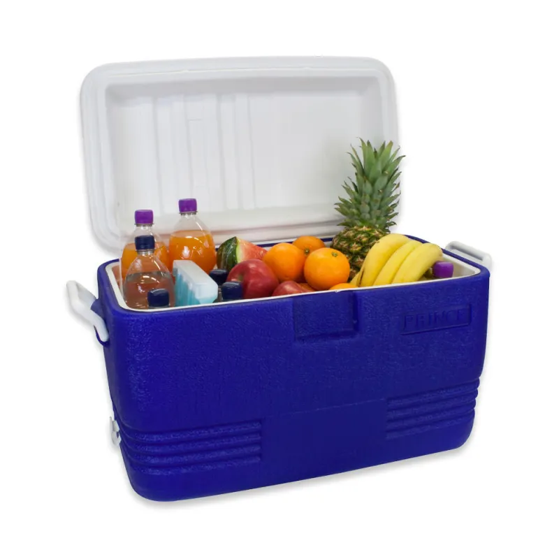 Waterside Polarcooler Kühlbox 40 Liter
