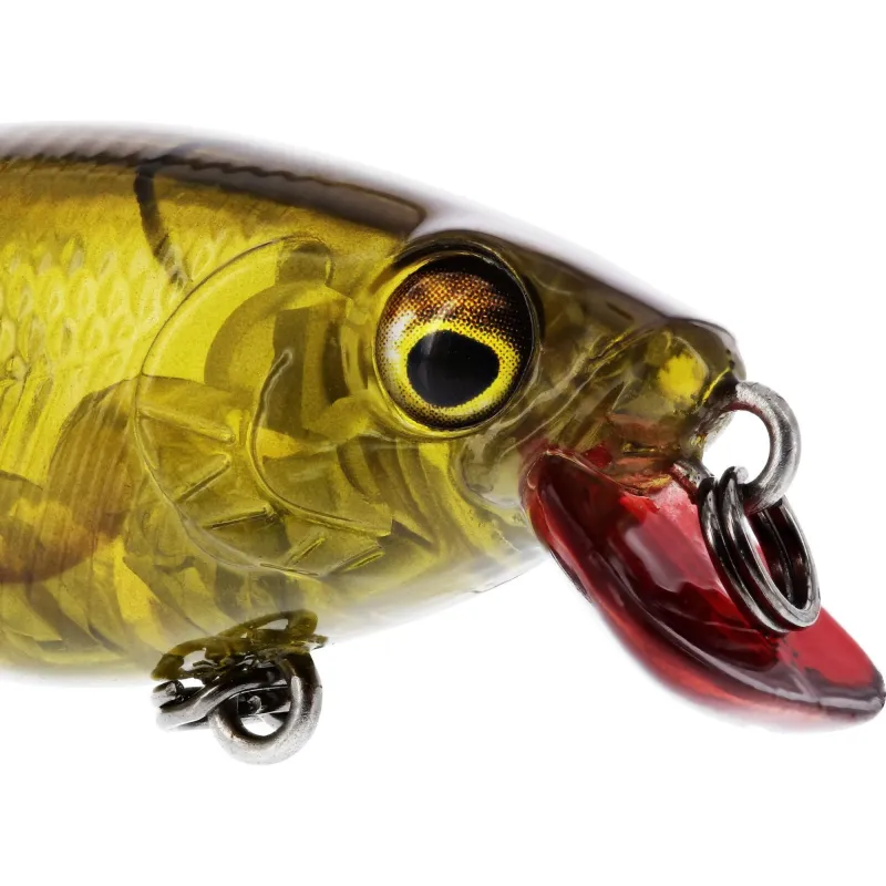 Westin Buzzbite SR Official Roach - 5cm - 6g -1 Stück