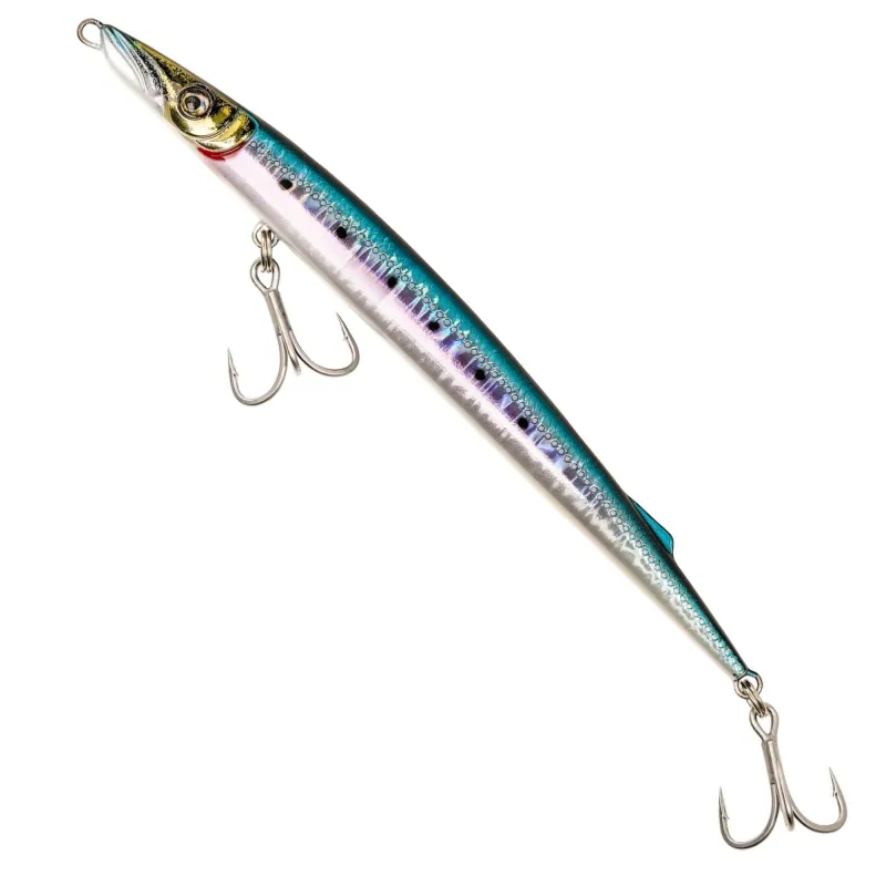 Sardine
